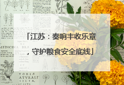 江苏：奏响丰收乐章，守护粮食安全底线