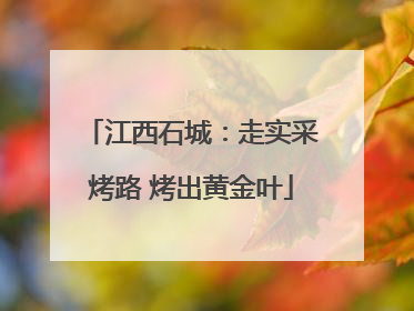 江西石城：走实采烤路 烤出黄金叶