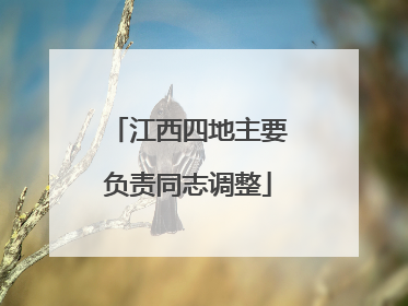 江西四地主要负责同志调整