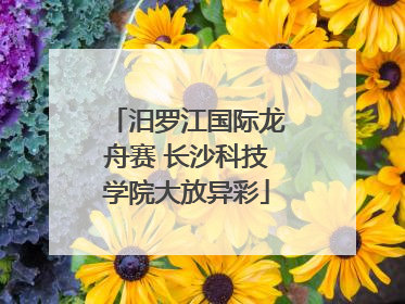 汨罗江国际龙舟赛 长沙科技学院大放异彩
