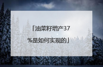 油菜籽增产37%是如何实现的