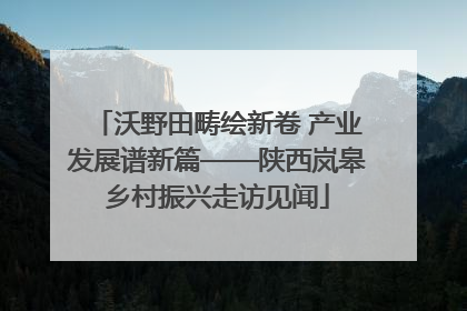 沃野田畴绘新卷 产业发展谱新篇——陕西岚皋乡村振兴走访见闻