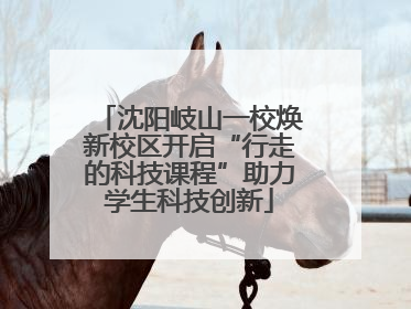 沈阳岐山一校焕新校区开启“行走的科技课程”助力学生科技创新