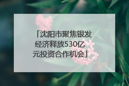 沈阳市聚焦银发经济释放530亿元投资合作机会