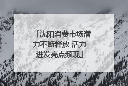 沈阳消费市场潜力不断释放 活力迸发亮点频现