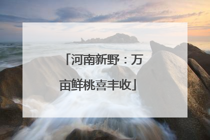 河南新野：万亩鲜桃喜丰收