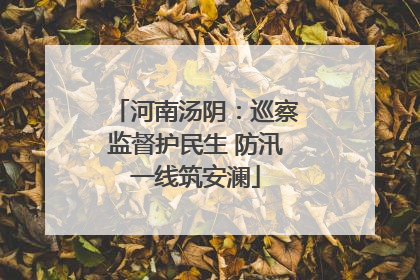 河南汤阴：巡察监督护民生 防汛一线筑安澜