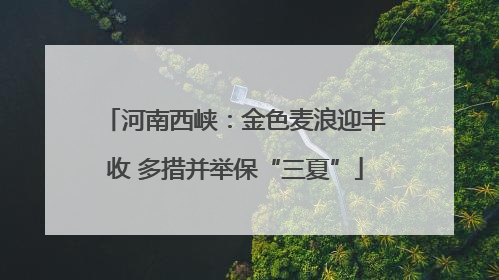 河南西峡：金色麦浪迎丰收 多措并举保“三夏”