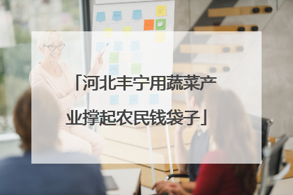 河北丰宁用蔬菜产业撑起农民钱袋子