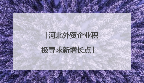 河北外贸企业积极寻求新增长点