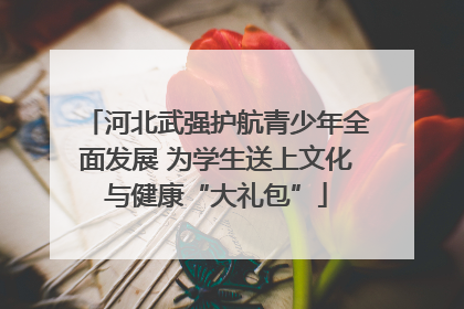 河北武强护航青少年全面发展 为学生送上文化与健康“大礼包”