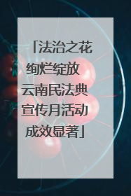 法治之花绚烂绽放 云南民法典宣传月活动成效显著