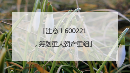 注意！600221，筹划重大资产重组