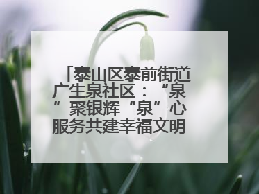 泰山区泰前街道广生泉社区：“泉”聚银辉“泉”心服务共建幸福文明和谐家园