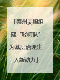 泰州姜堰组建“轻骑队”为基层治理注入新动力