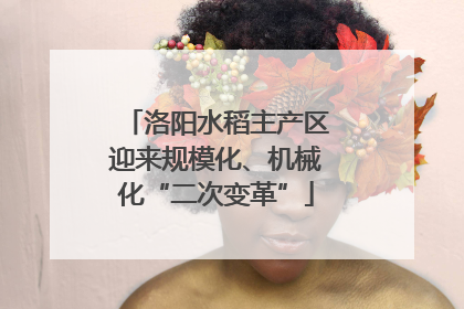 洛阳水稻主产区迎来规模化、机械化“二次变革”