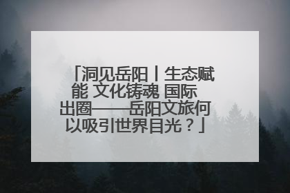 洞见岳阳丨生态赋能 文化铸魂 国际出圈——岳阳文旅何以吸引世界目光？
