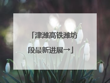 津潍高铁潍坊段最新进展→