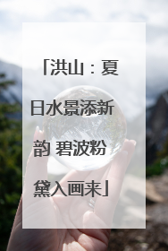 洪山：夏日水景添新韵 碧波粉黛入画来