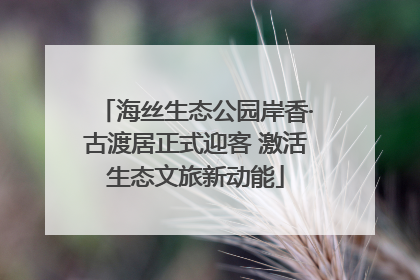 海丝生态公园岸香·古渡居正式迎客 激活生态文旅新动能