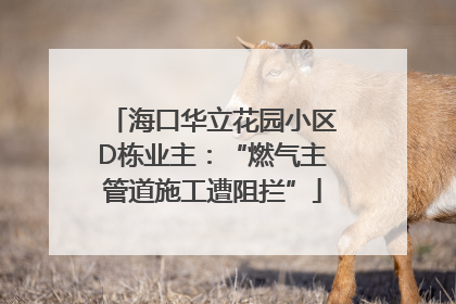 海口华立花园小区D栋业主：“燃气主管道施工遭阻拦”