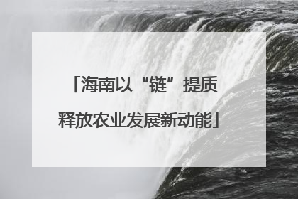 海南以“链”提质 释放农业发展新动能