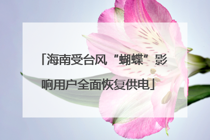海南受台风“蝴蝶”影响用户全面恢复供电