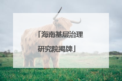 海南基层治理研究院揭牌