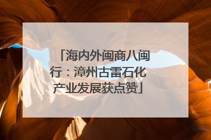 海内外闽商八闽行：漳州古雷石化产业发展获点赞