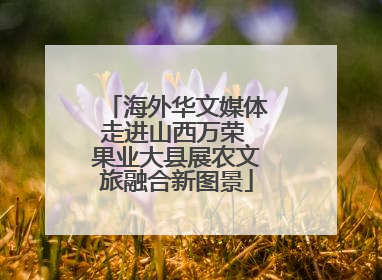 海外华文媒体走进山西万荣 果业大县展农文旅融合新图景