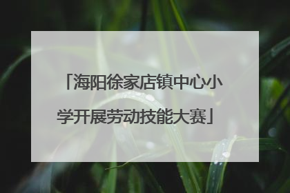 海阳徐家店镇中心小学开展劳动技能大赛