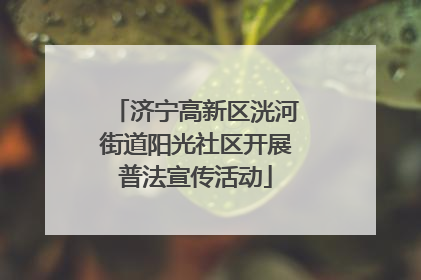 济宁高新区洸河街道阳光社区开展普法宣传活动