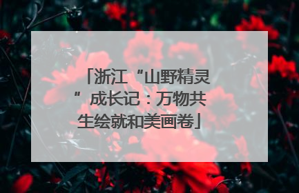 浙江“山野精灵”成长记：万物共生绘就和美画卷