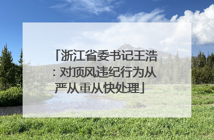 浙江省委书记王浩：对顶风违纪行为从严从重从快处理