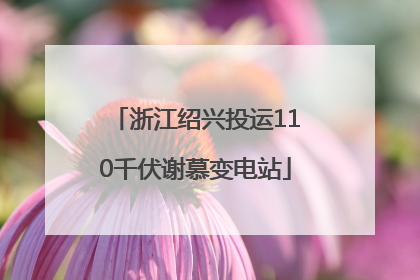 浙江绍兴投运110千伏谢慕变电站