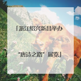 浙江绍兴新昌举办“唐诗之路”展览