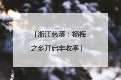 浙江慈溪：杨梅之乡开启丰收季