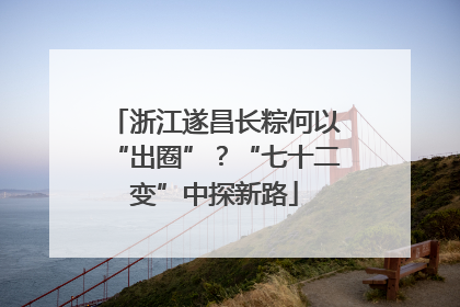 浙江遂昌长粽何以“出圈”？“七十二变”中探新路