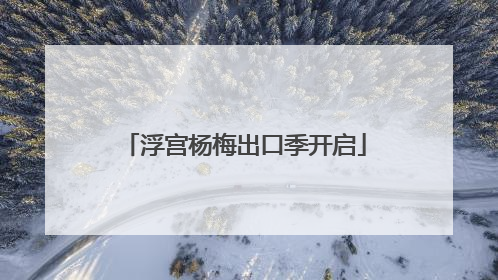 浮宫杨梅出口季开启