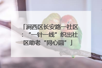 涧西区长安路一社区：“一针一线”织出社区助老“同心圆”
