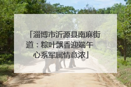 淄博市沂源县南麻街道：粽叶飘香迎端午 心系军属情意浓
