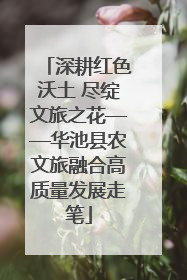 深耕红色沃土 尽绽文旅之花——华池县农文旅融合高质量发展走笔