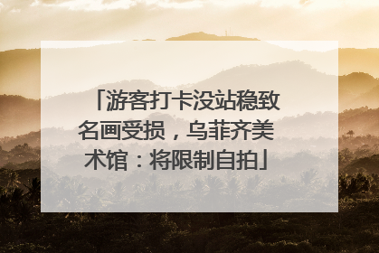 游客打卡没站稳致名画受损，乌菲齐美术馆：将限制自拍