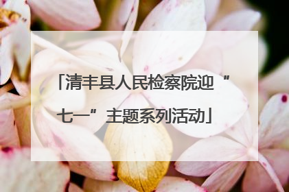 清丰县人民检察院迎“七一”主题系列活动