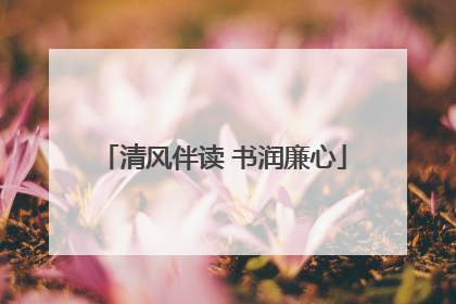 清风伴读 书润廉心