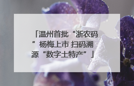温州首批“浙农码”杨梅上市 扫码溯源“数字土特产”
