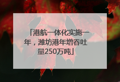 港航一体化实施一年，潍坊港年增吞吐量250万吨