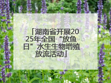 湖南省开展2025年全国“放鱼日”水生生物增殖放流活动