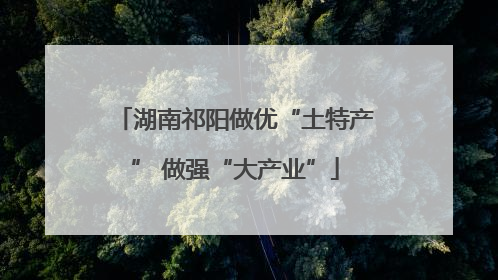湖南祁阳做优“土特产” 做强“大产业”