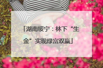 湖南绥宁：林下“生金”实现绿富双赢